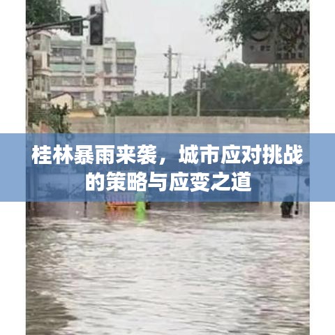 购物指南 第15页