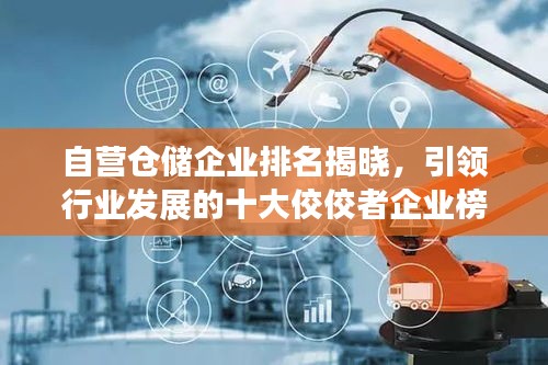 自营仓储企业排名揭晓，引领行业发展的十大佼佼者企业榜单