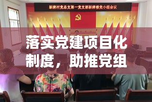 落实党建项目化制度，助推党组织建设迈上新台阶