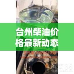 台州柴油价格最新动态及分析报告