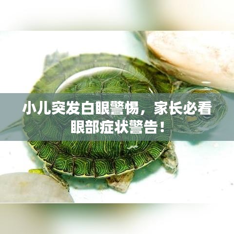 小儿突发白眼警惕，家长必看眼部症状警告！