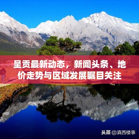 矫枉过正