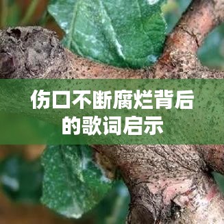 见仁见智