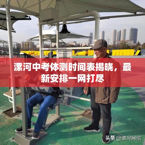 鸢飞戾天