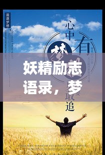 关于我们 第7页