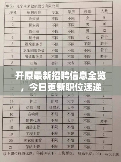 飞鸟依人