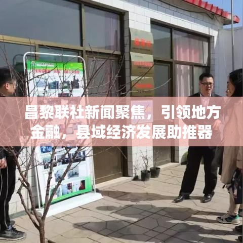 昌黎联社新闻聚焦，引领地方金融，县域经济发展助推器