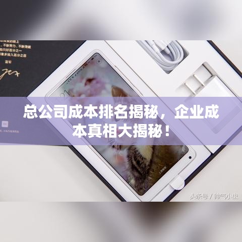 总公司成本排名揭秘，企业成本真相大揭秘！