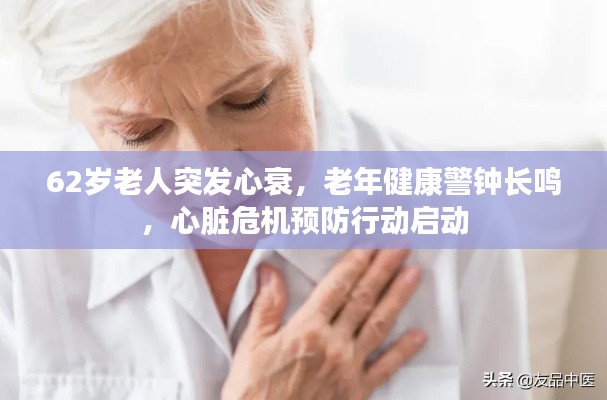 文化专栏 第4页