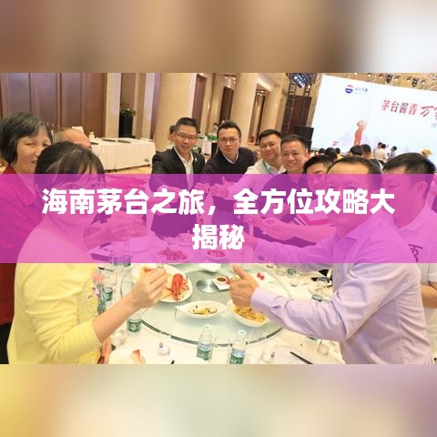 海南茅台之旅，全方位攻略大揭秘