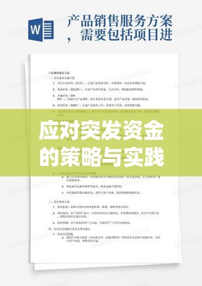 应对突发资金的策略与实践方法