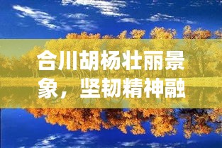 合川胡杨壮丽景象，坚韧精神融合新闻头条