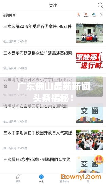 广东佛山最新新闻头条揭秘！