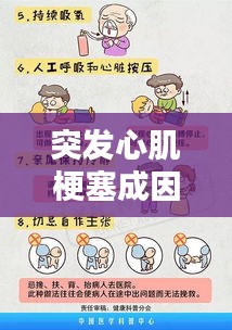 2025年5月11日
