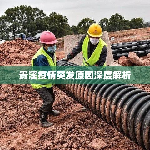 贵溪疫情突发原因深度解析