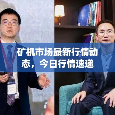 矿机市场最新行情动态，今日行情速递