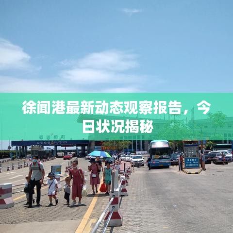 徐闻港最新动态观察报告，今日状况揭秘