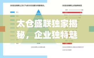 太仓盛联独家揭秘，企业独特魅力与发展路径的探究