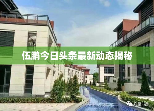 伍鹏今日头条最新动态揭秘