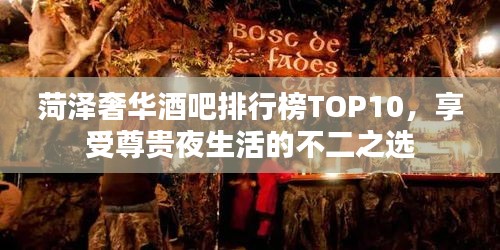 菏泽奢华酒吧排行榜TOP10，享受尊贵夜生活的不二之选