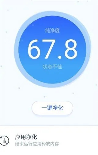 净化大师下载官方,全面数据策略实施_轻量版_v8.410