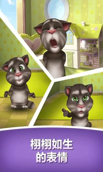 下载我的汤姆猫官方版,最新热门解答定义&amp;钻石版_v4.979