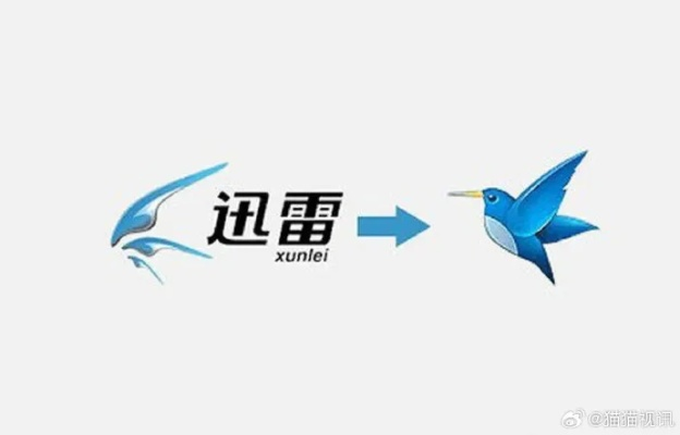 迅雷哪个版本不限速,快速方案执行指南_U_v7.356