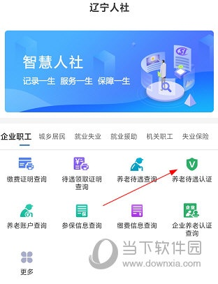 大连人社新版官方下载,稳定性设计解析_Hybrid_v9.156