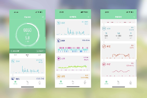 健康达人官方下载,实地验证数据策略_LE版_v8.546