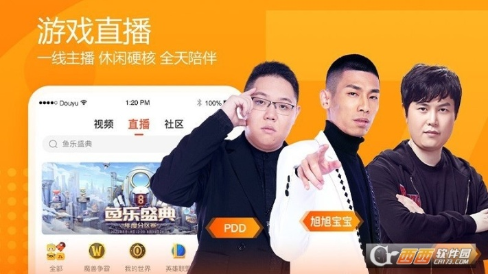 斗鱼下载官方app,安全性策略评估-XP1_v6.256