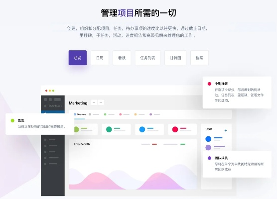超越版本,项目管理推进方案&高级款_v10.520