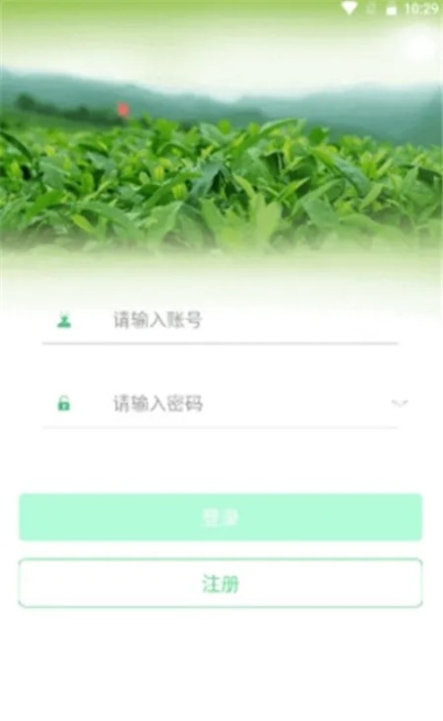 星所有版本同绿茶网官方下载与另一款同类型软件的权威对比分析
