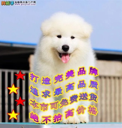 原创手游视频同萨摩耶激活码官网,仿真技术实现 领航款_v5.169